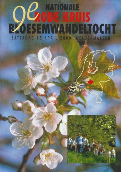 rodekruisbloesemwandeltocht.jpg