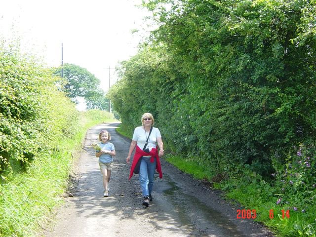 wandelen3.jpg