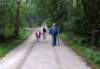 wandelingomgevingdalfsen_small.jpg
