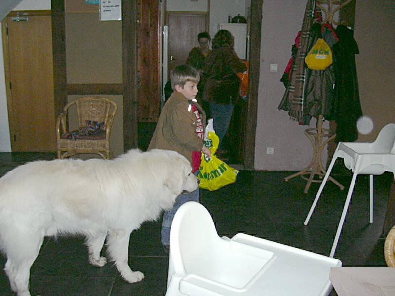 bsippenaekenborenjoep.jpg