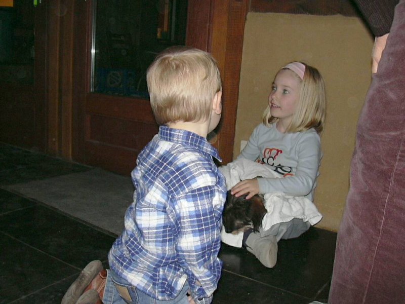 sippenaekenbramguusjeengabi.jpg