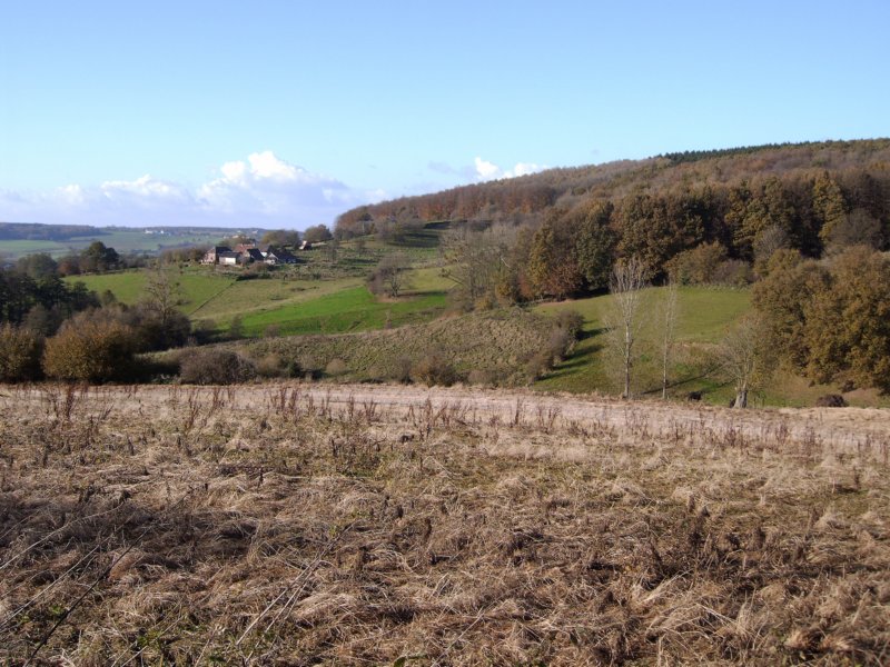 sippenakenwandeling.jpg