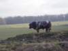 wandeling4_small.jpg
