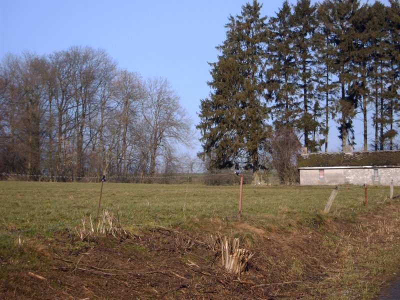 wandeling6.jpg