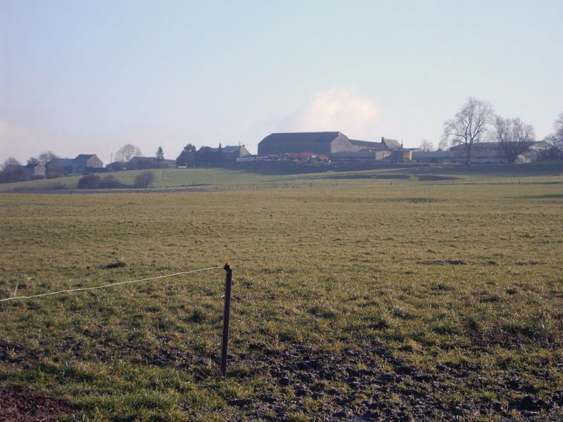 wandeling8.jpg