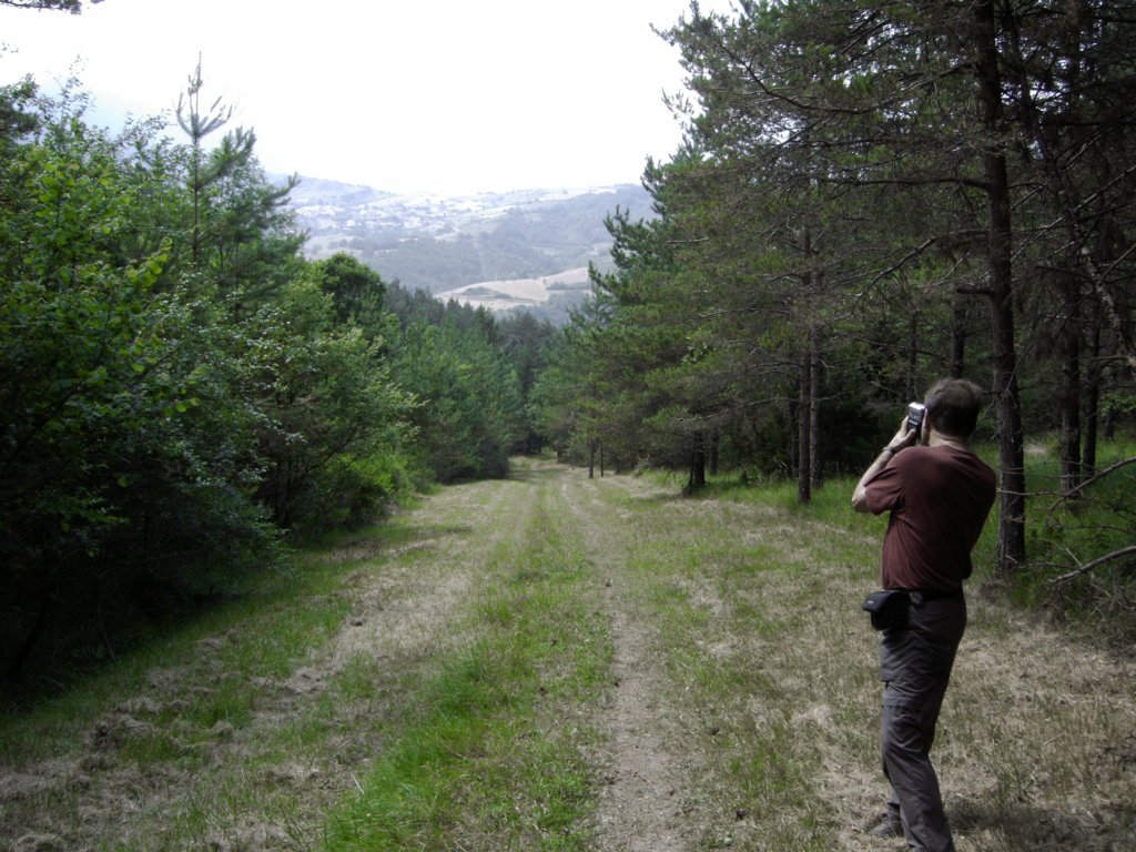 wandeling.jpg
