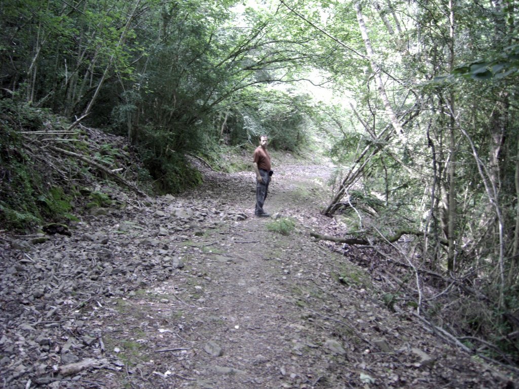 wandeling4.jpg