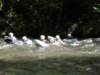axatkinderenkrijgenlesinwildwaterzwemmen_small.jpg