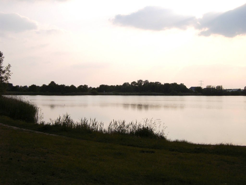 avondvierdaagseenlangsplassen.jpg