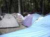 campingduinrelltentenpark_small.jpg
