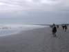 strand6daagsegestart_small.jpg