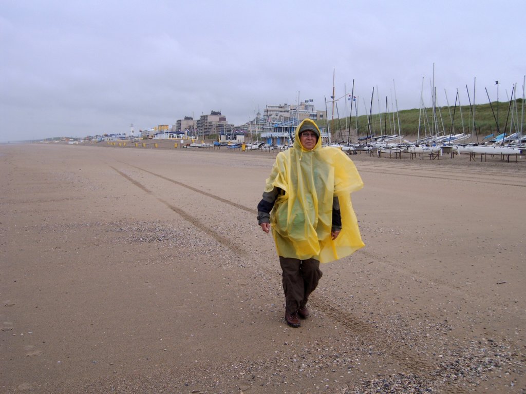 strandwandelingnoordwijkaanzee.jpg