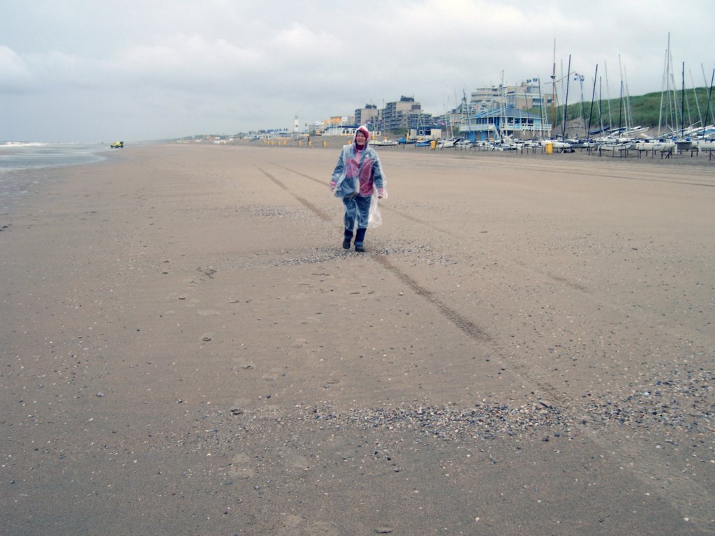 strandwandelingnoordwijkaanzee2.jpg