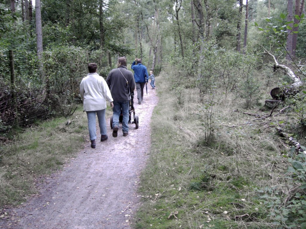 depadenop.jpg
