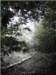 natuur_small.jpg