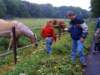 zaterdagochtendwandeling3_small.jpg