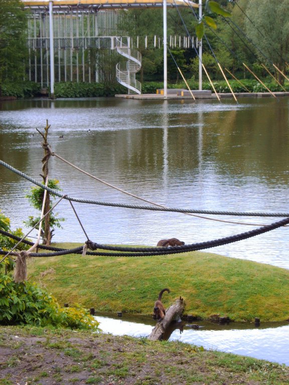 kasteeltuinenapenrots.jpg