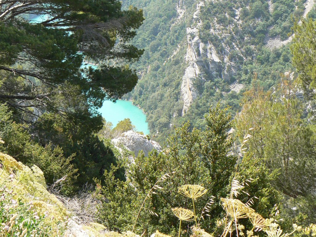 gorgeduverdon.jpg