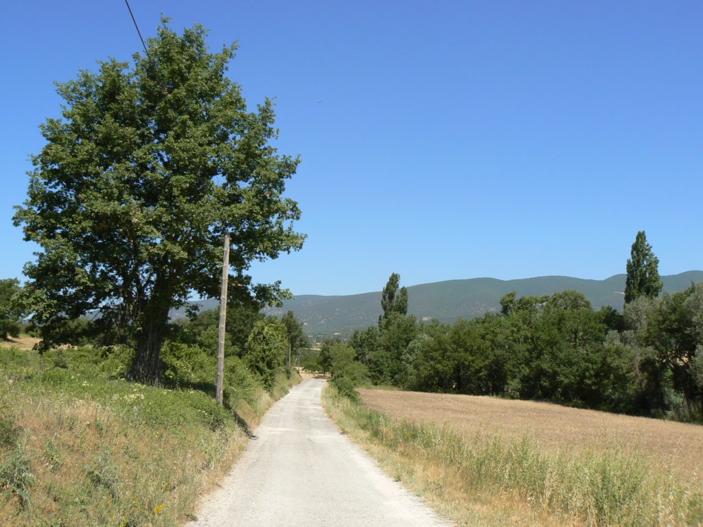 randoneecucuronluberongebergte.jpg