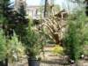 botanischetuin_small.jpg