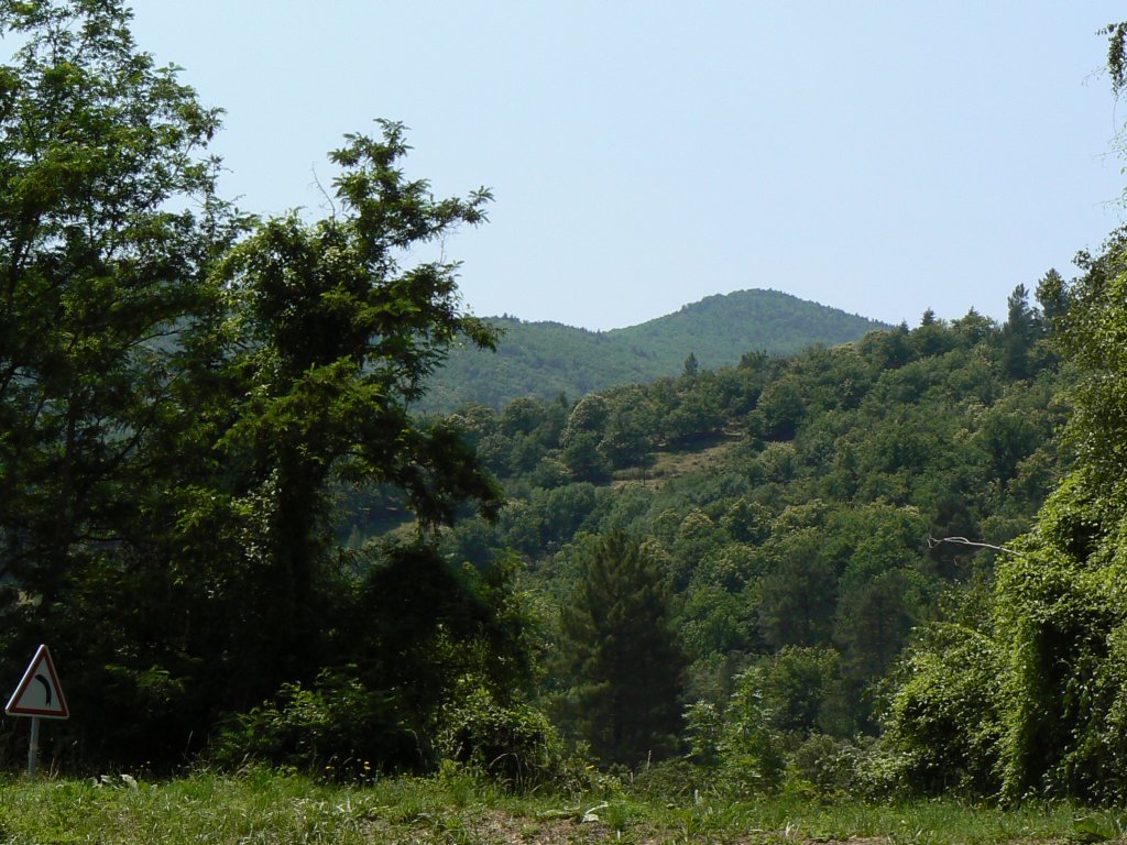 cevennes.jpg