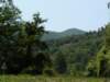 cevennes_small.jpg