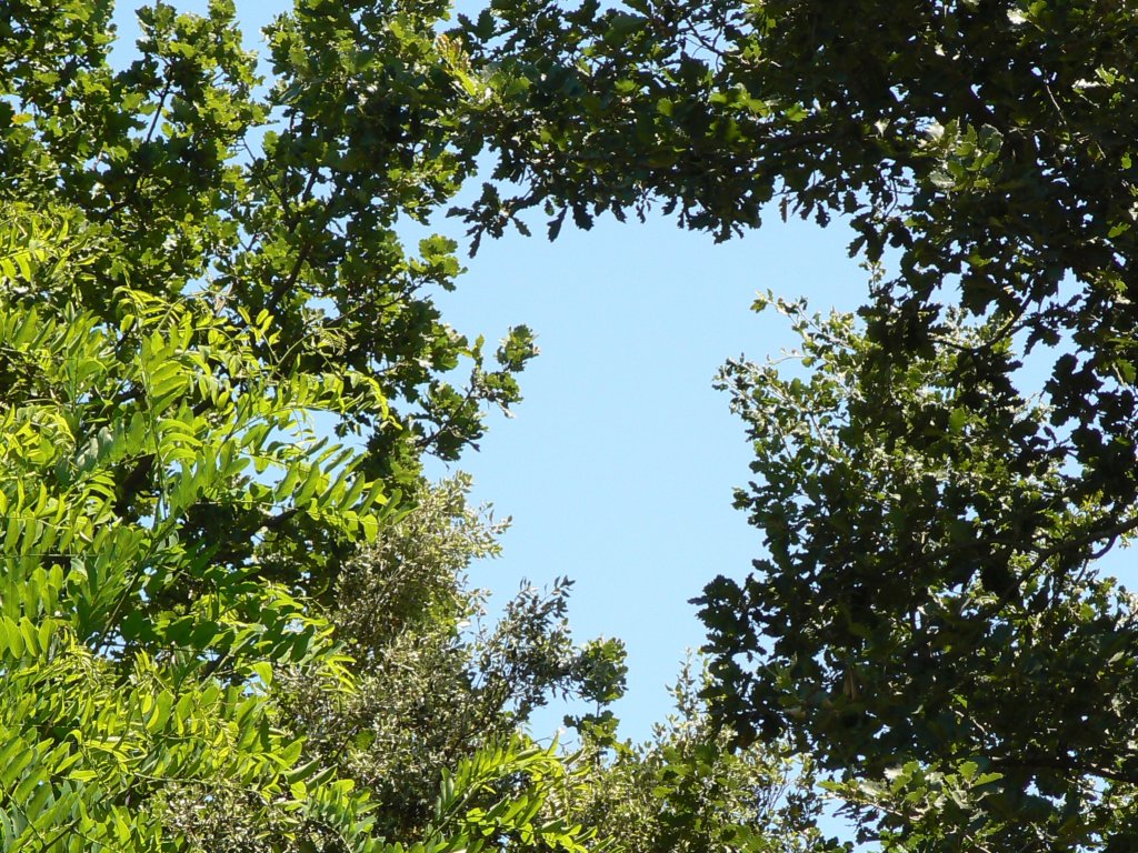 campingveelgroen.jpg