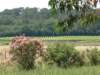 wandelingnaararpaillargues_small.jpg