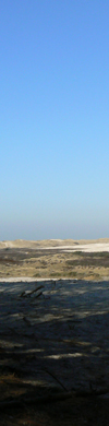 header links
