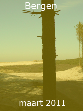 header rechts