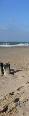 header links