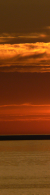 header links