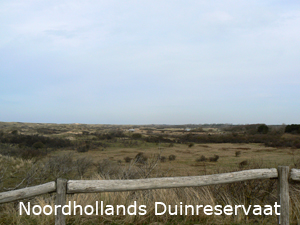 duinreservaat