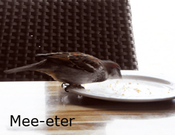 mee-eter