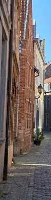 header links